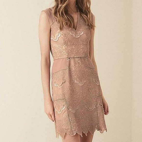 NWT REISS | Gemina Lace Dress - Picture 3 of 8